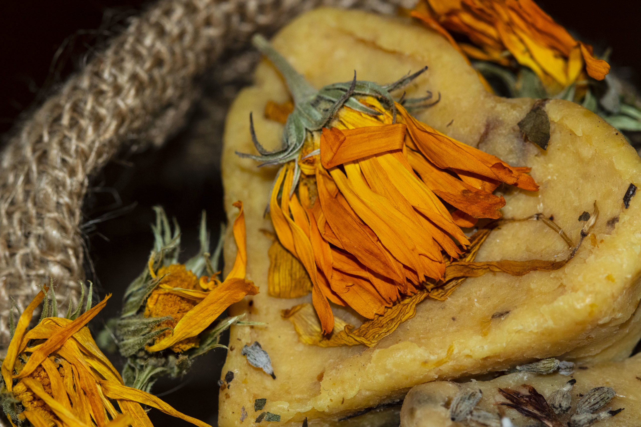 BELLEZZA MEDITERRANEA – Un’esperienza sensoriale attraverso cultura, Natura e bellezza. Scoprite i segreti della bellezza mediterranea. · 7