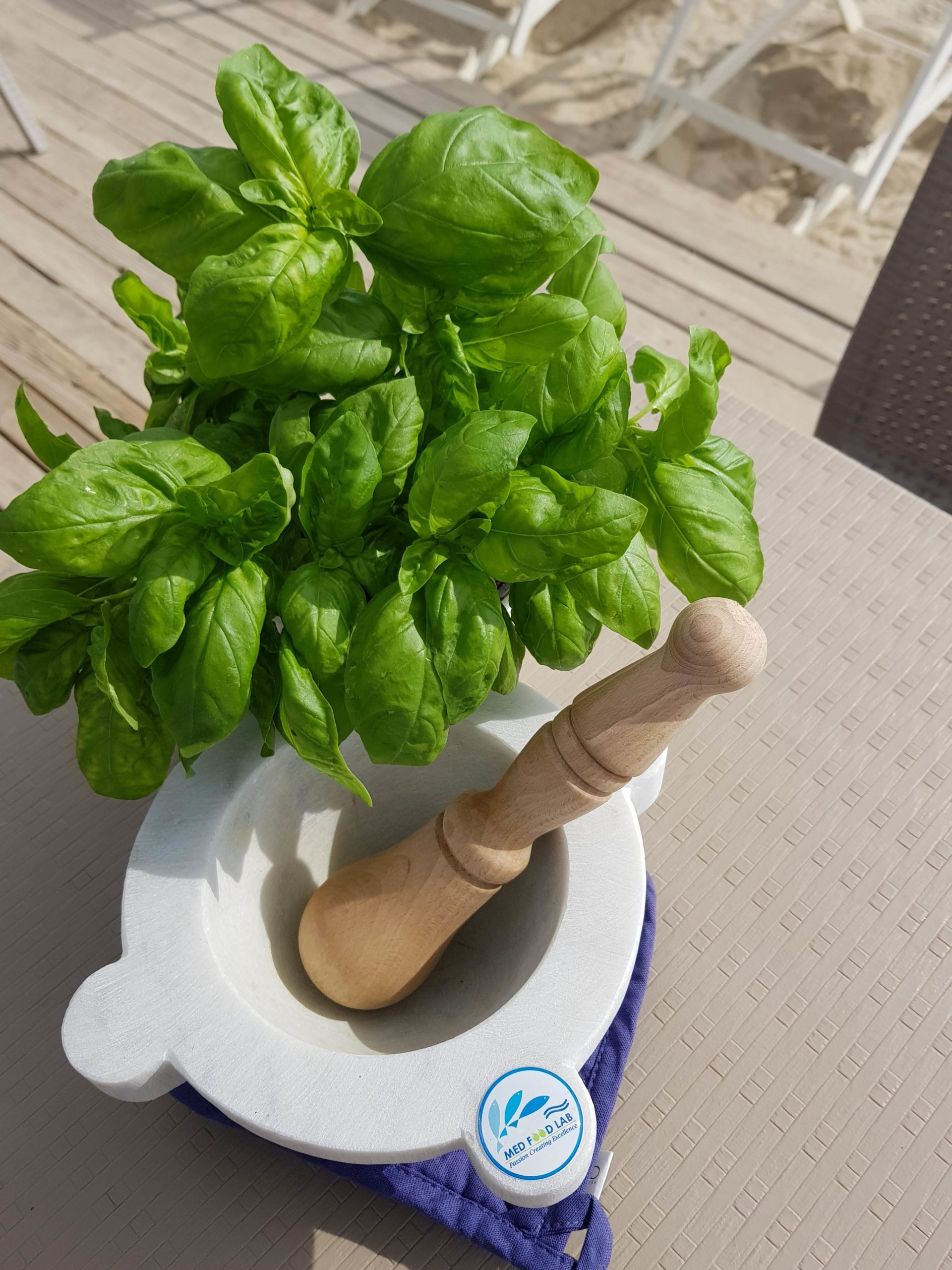 PESTO GENOVESE AL MORTAIO – Tutti i segreti per preparare il vero pesto genovese a regola d’arte · 10