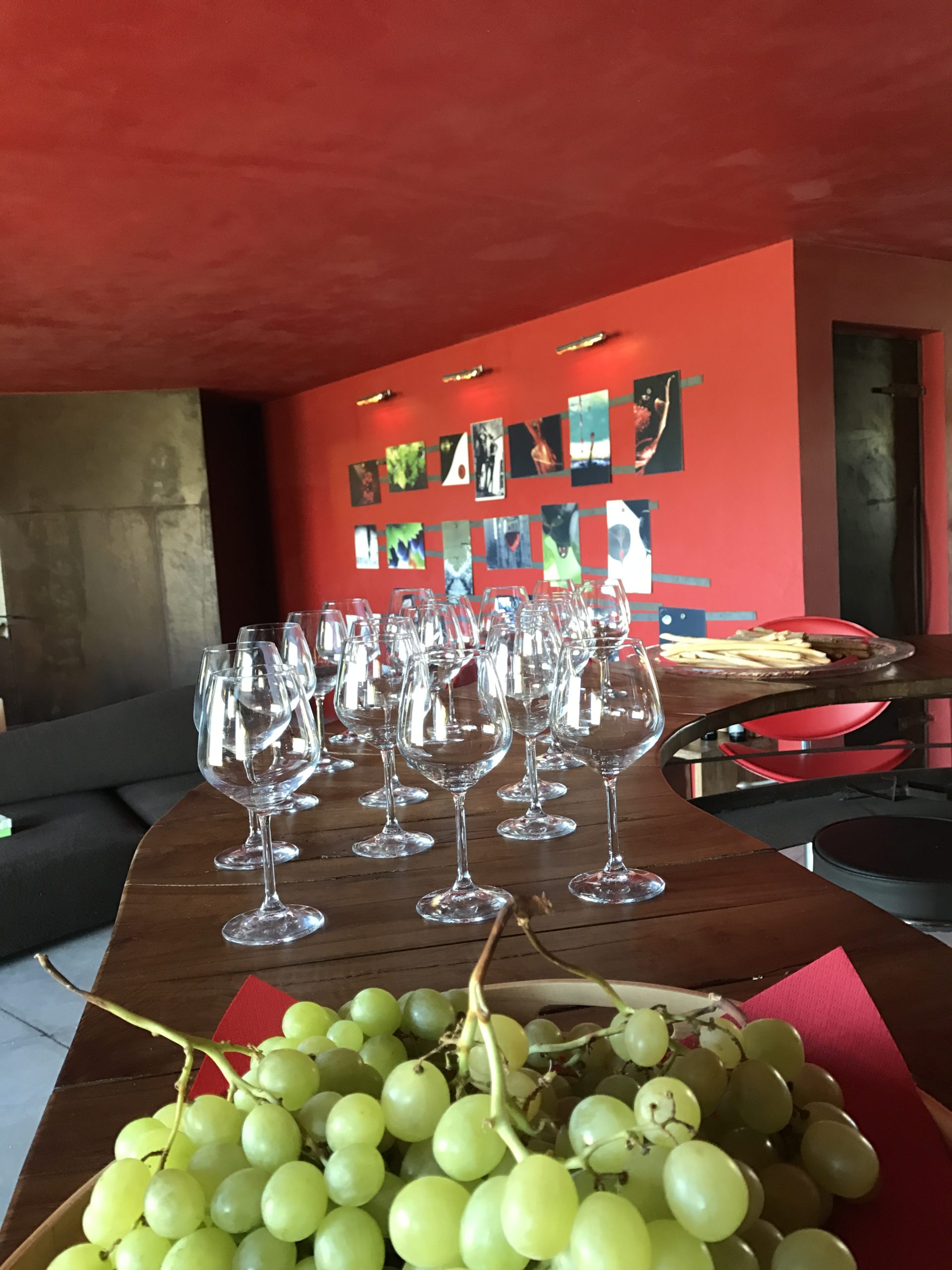 DOLCEACQUA & WINE TASTING – La patria del vino Rossese e dell’amato ponte di Monet. · 6