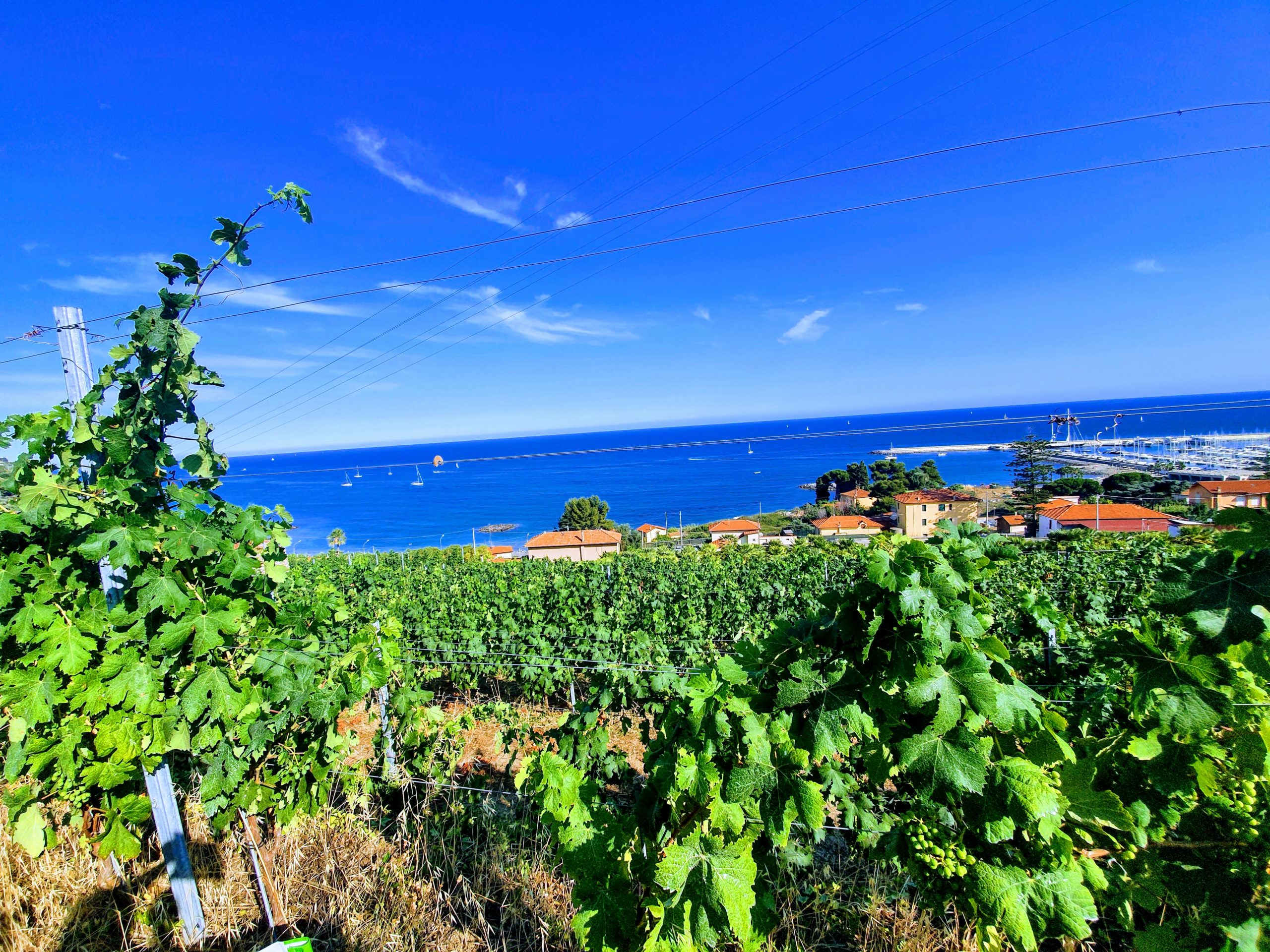 LIGURIA GREEN & SLOW – PAESAGGI E VINI DELLA RIVIERA LIGURE · 1