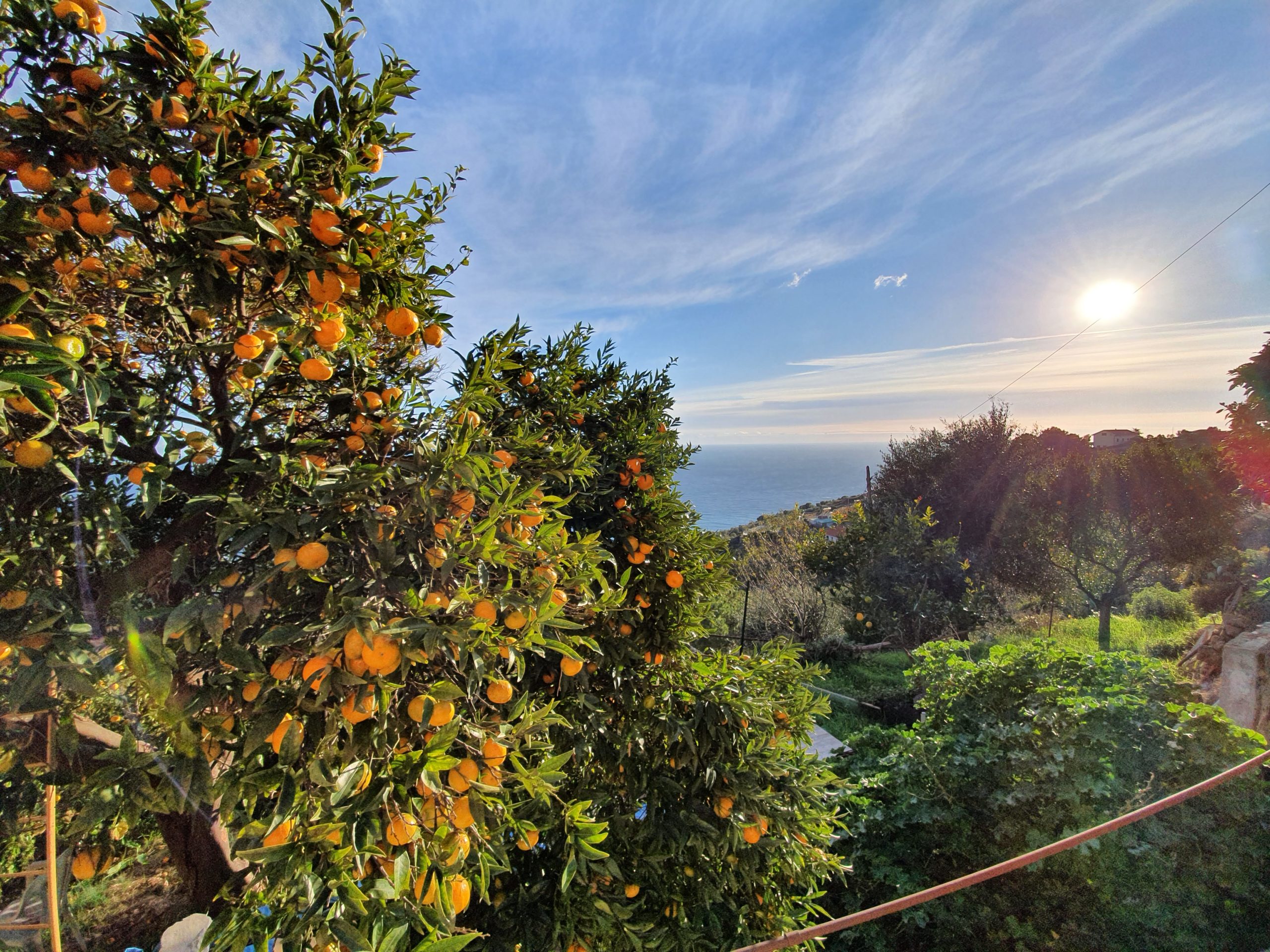 LIGURIA GREEN & SLOW – PAESAGGI E VINI DELLA RIVIERA LIGURE · 3