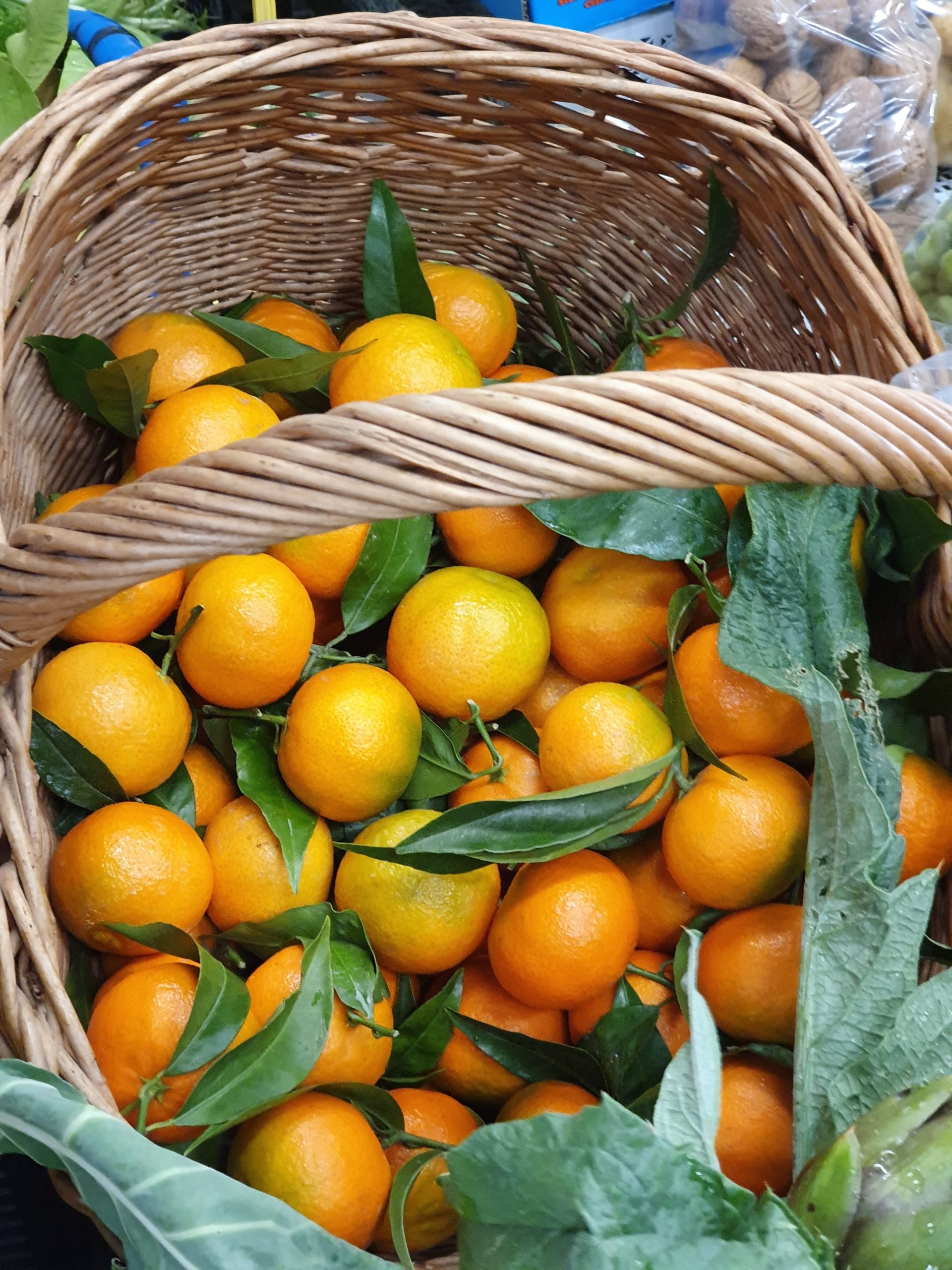 DALL'ORTO ALLA TAVOLA · 3