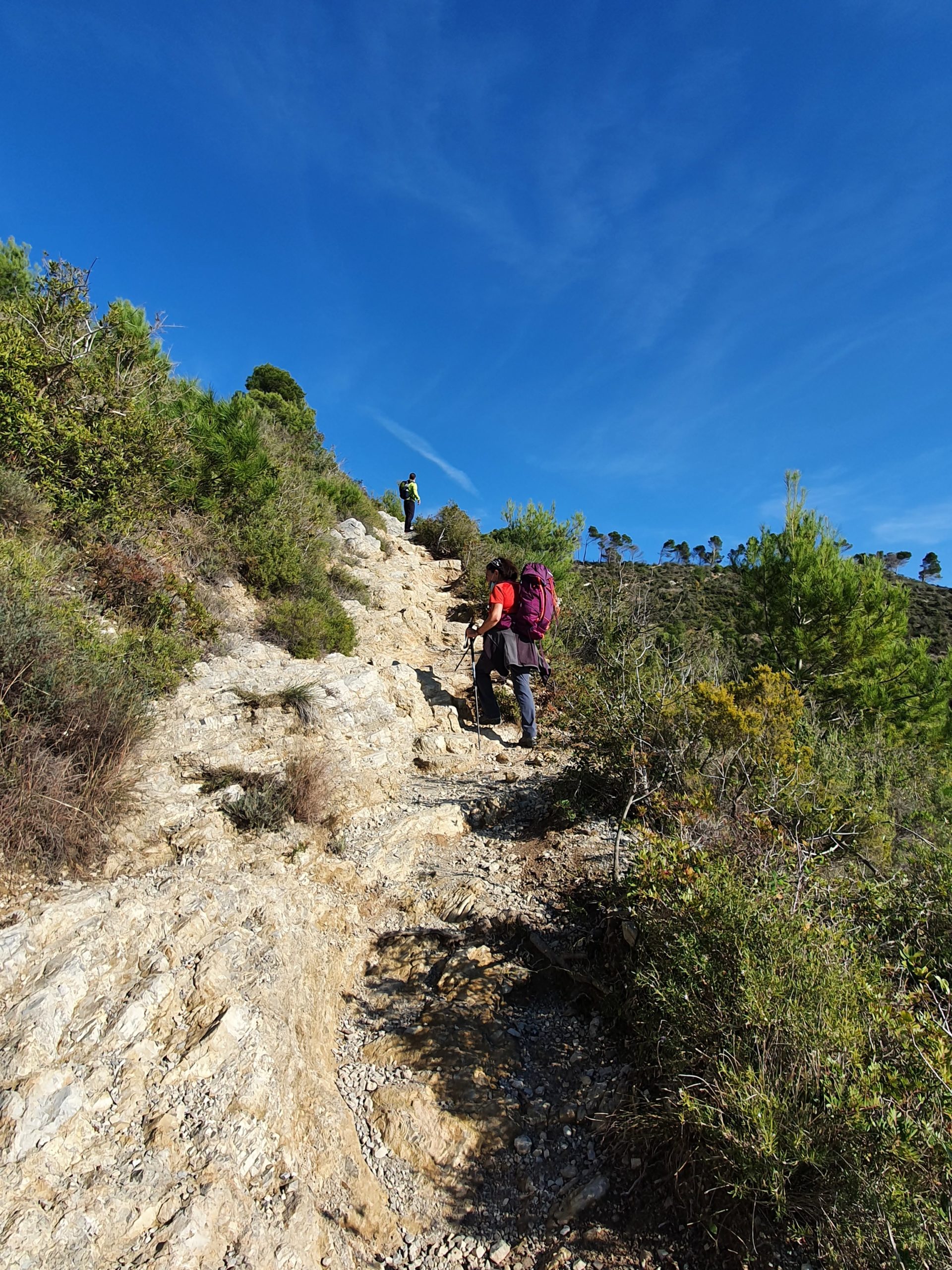LIGURIA GREEN & SLOW – PAESAGGI E VINI DELLA RIVIERA LIGURE · 5