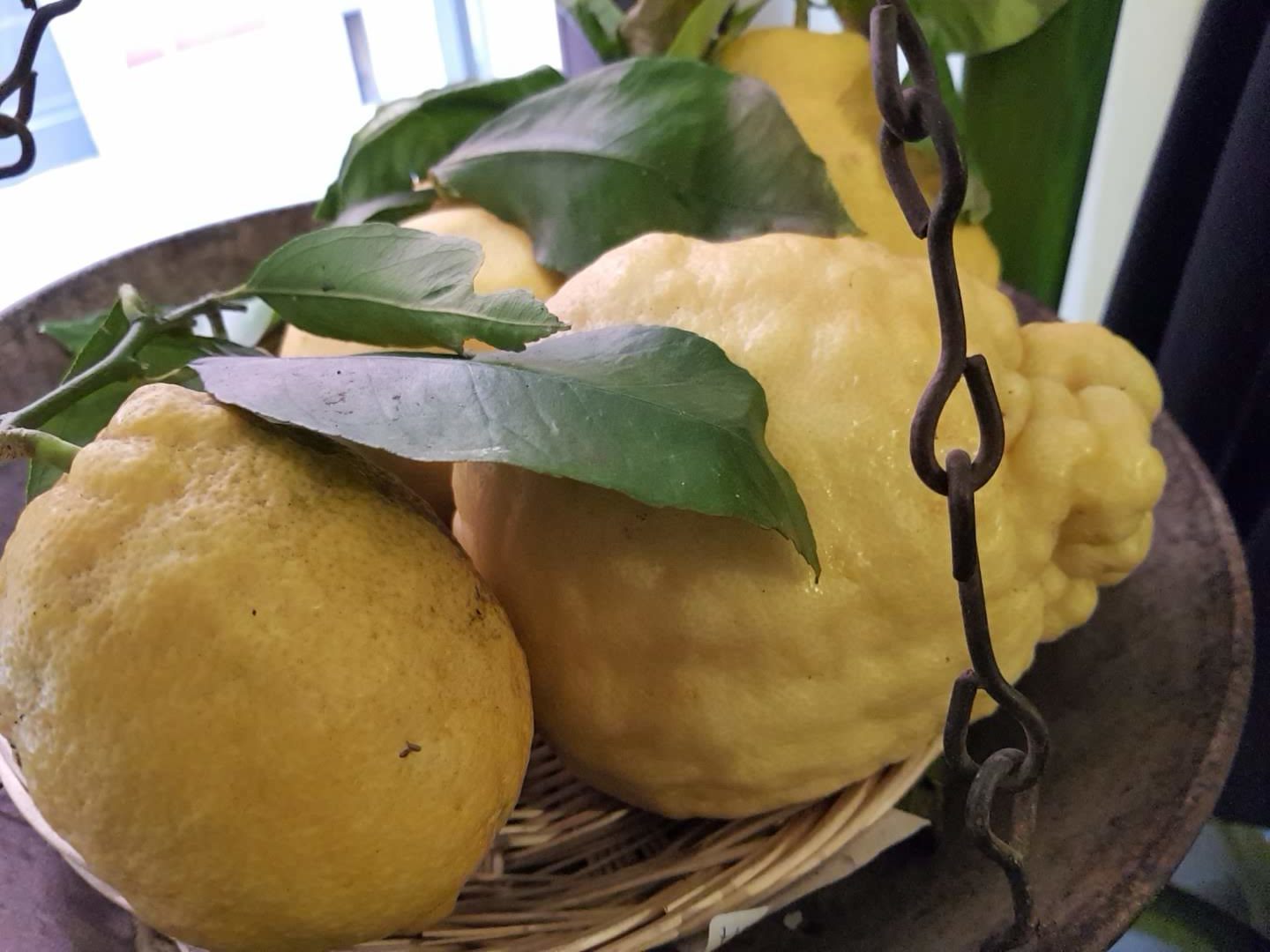 FINALBORGO, ECCEZIONE LIGURE – Il fascino di una capitale, la suggestione della bellezza · 6