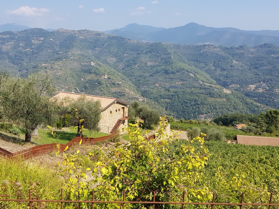 DOLCEACQUA & WINE TASTING – La patria del vino Rossese e dell’amato ponte di Monet. · 10