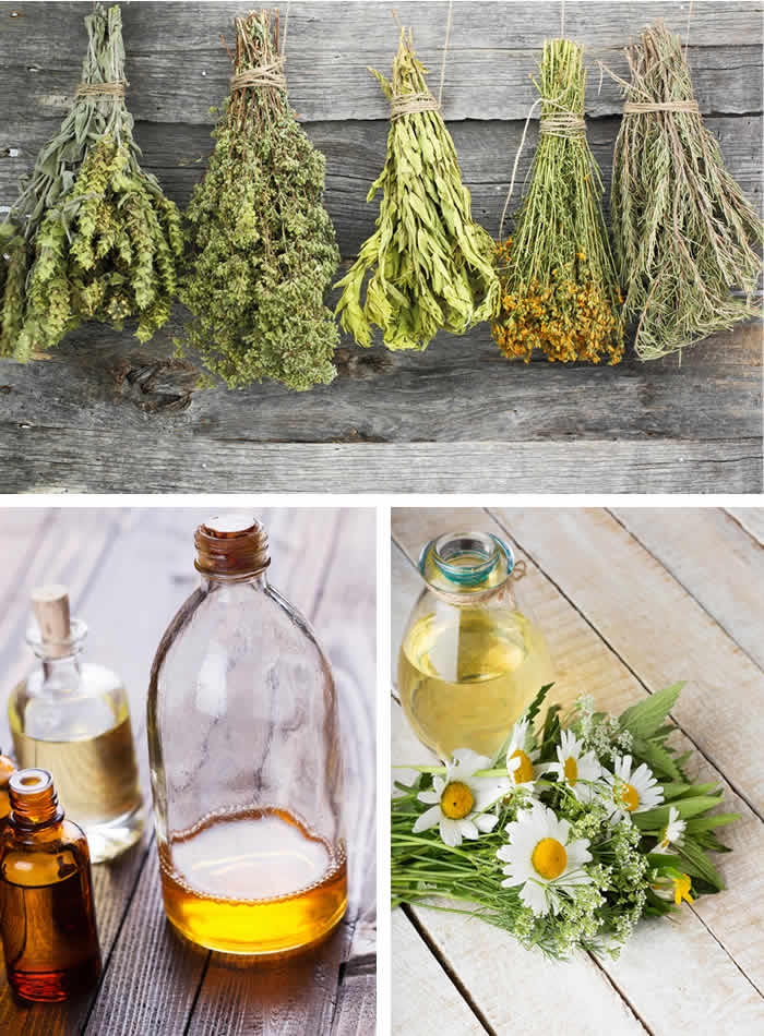 BELLEZZA MEDITERRANEA – Un’esperienza sensoriale attraverso cultura, Natura e bellezza. Scoprite i segreti della bellezza mediterranea. · 6