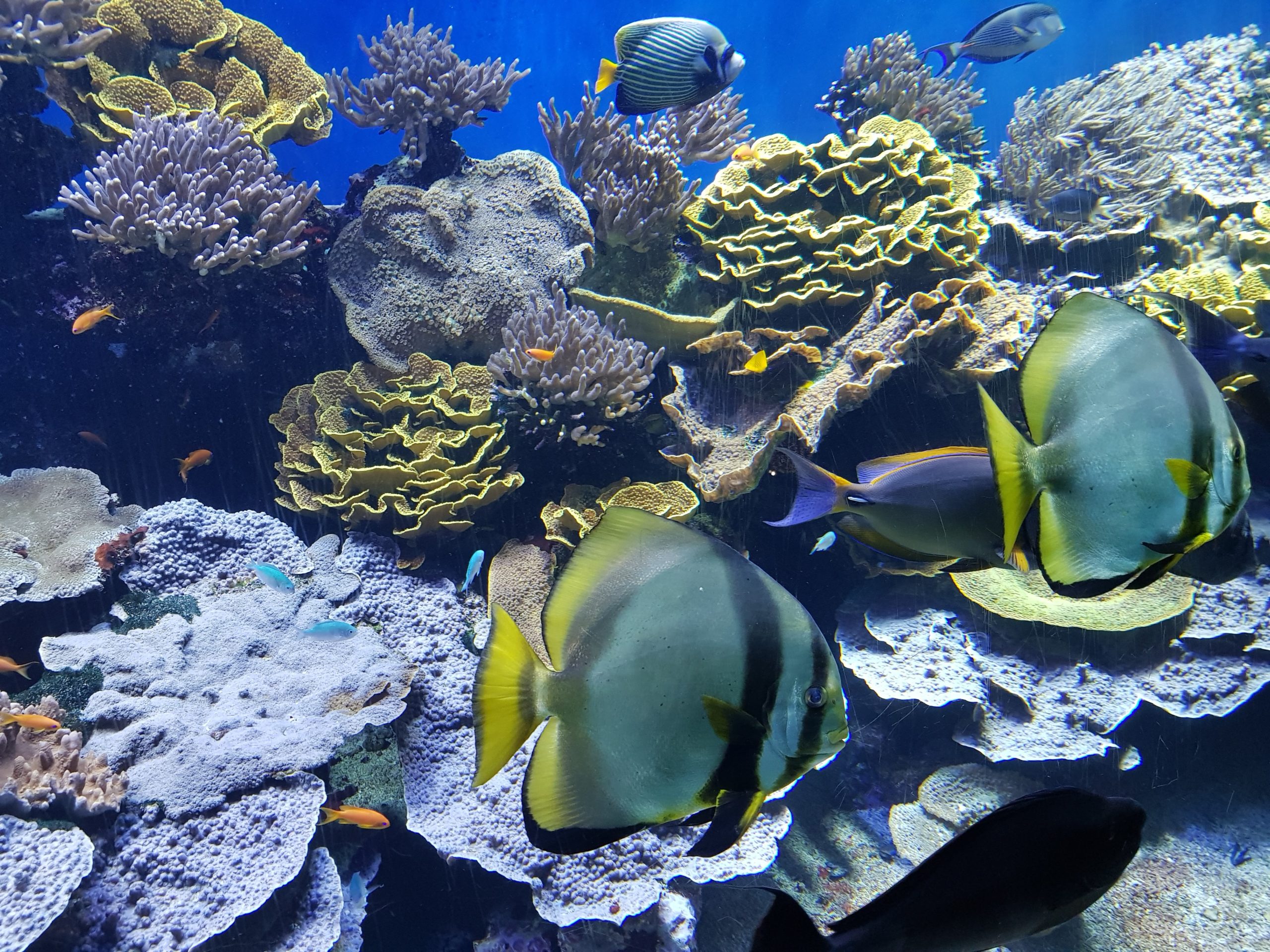 MONACO – MONTE CARLO – Vivi l’emozione di immergerti un un’atmosfera da fiaba per un giorno … · 9