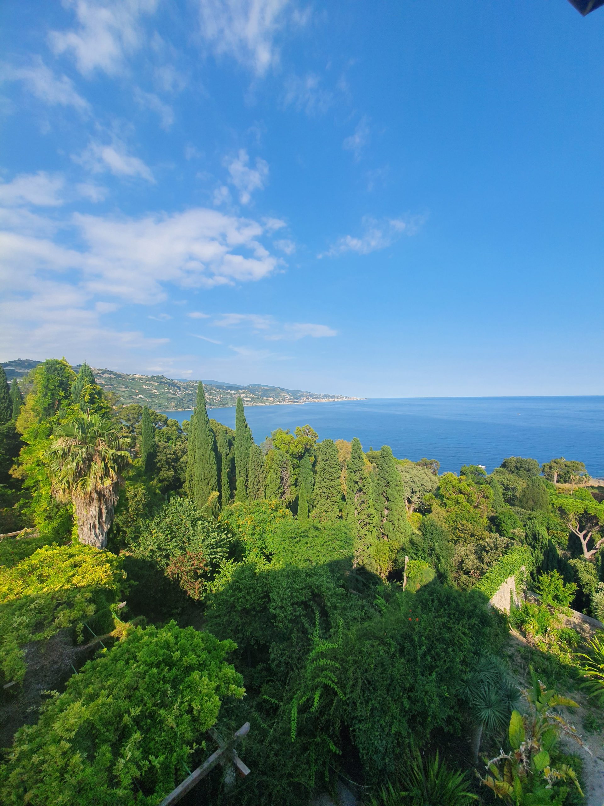 I GIARDINI BOTANICI HANBURY E BORDIGHERA – Un trionfo di Natura e bellezza · 5