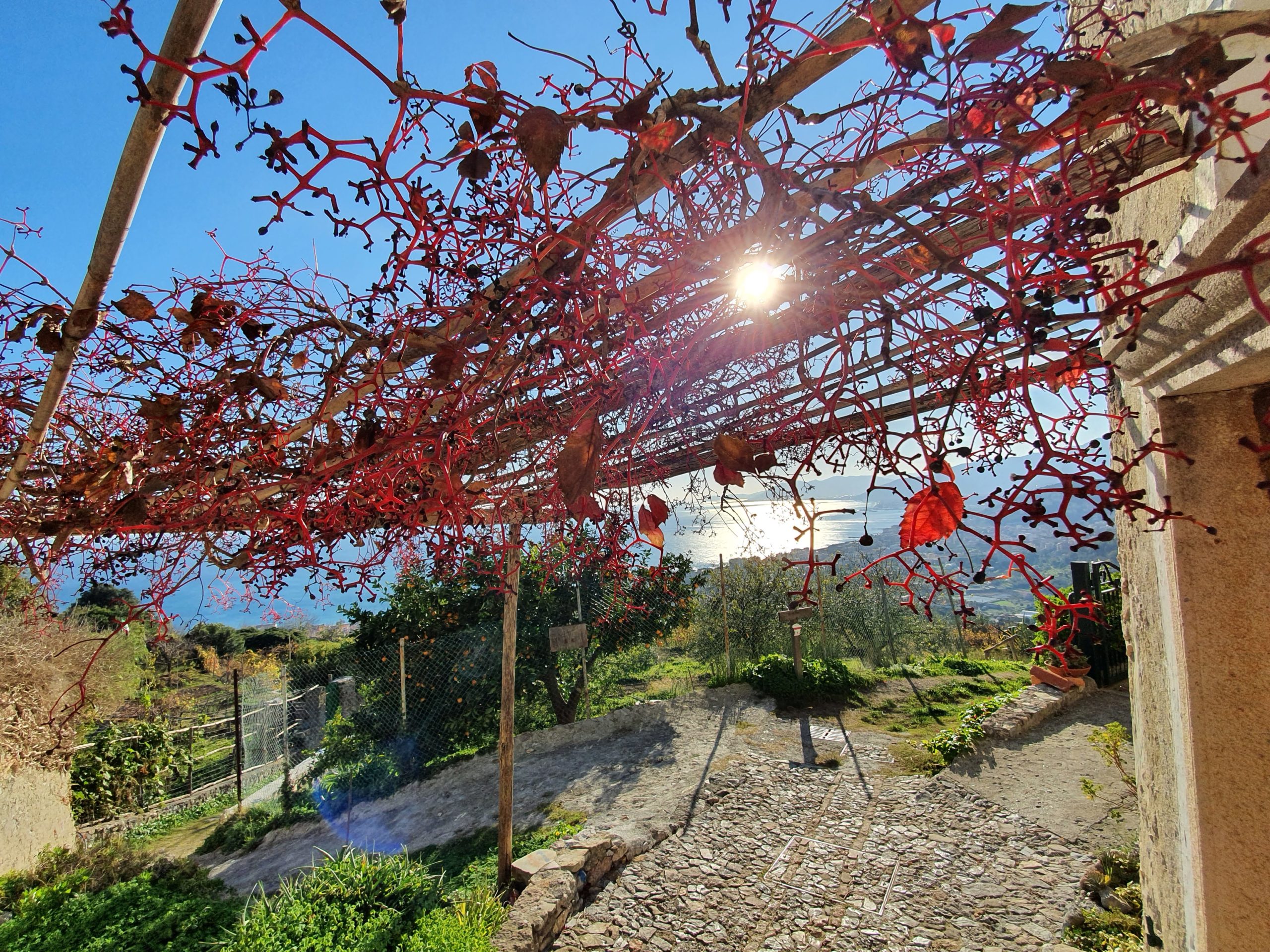 LIGURIA GREEN & SLOW – PAESAGGI E VINI DELLA RIVIERA LIGURE · 7