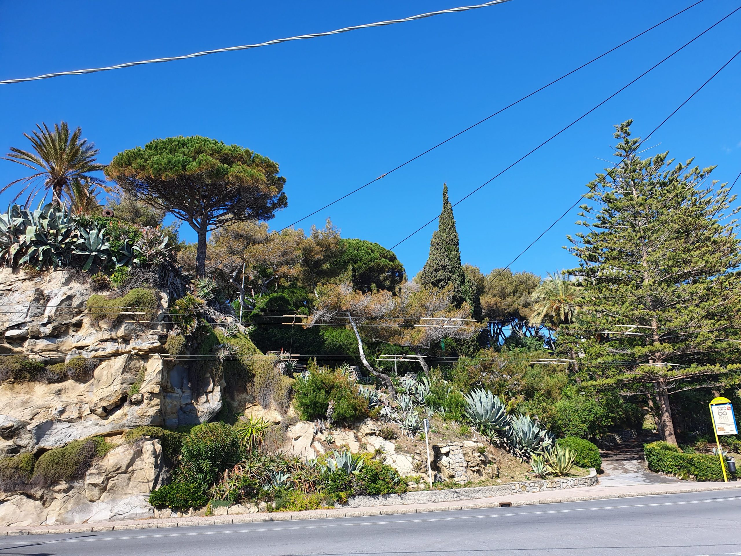 MONET EXPERIENCE – Sulle orme di Claude Monet per scoprire il fascino della Riviera Ligure · 3