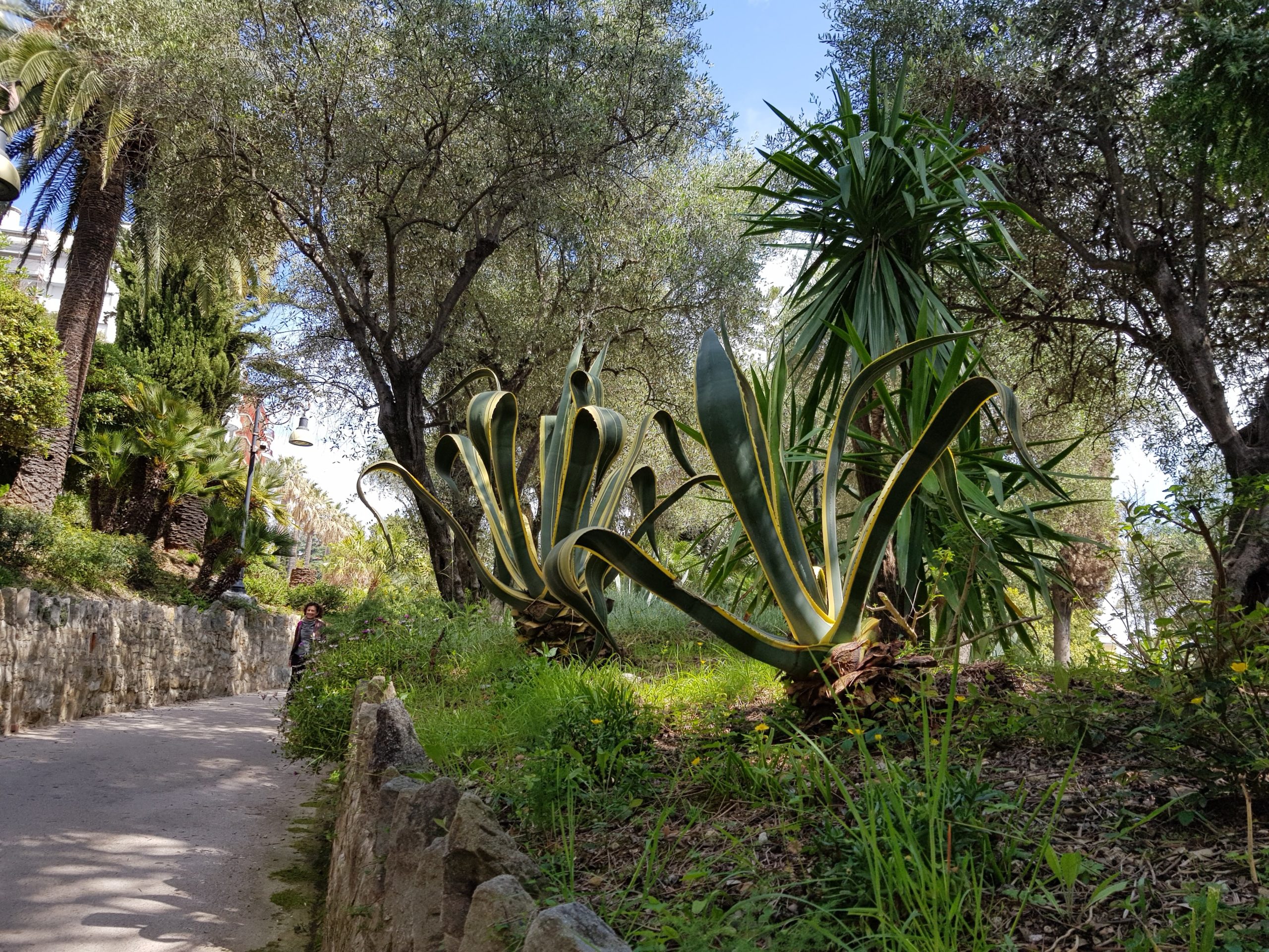 MONET EXPERIENCE – Sulle orme di Claude Monet per scoprire il fascino della Riviera Ligure · 6