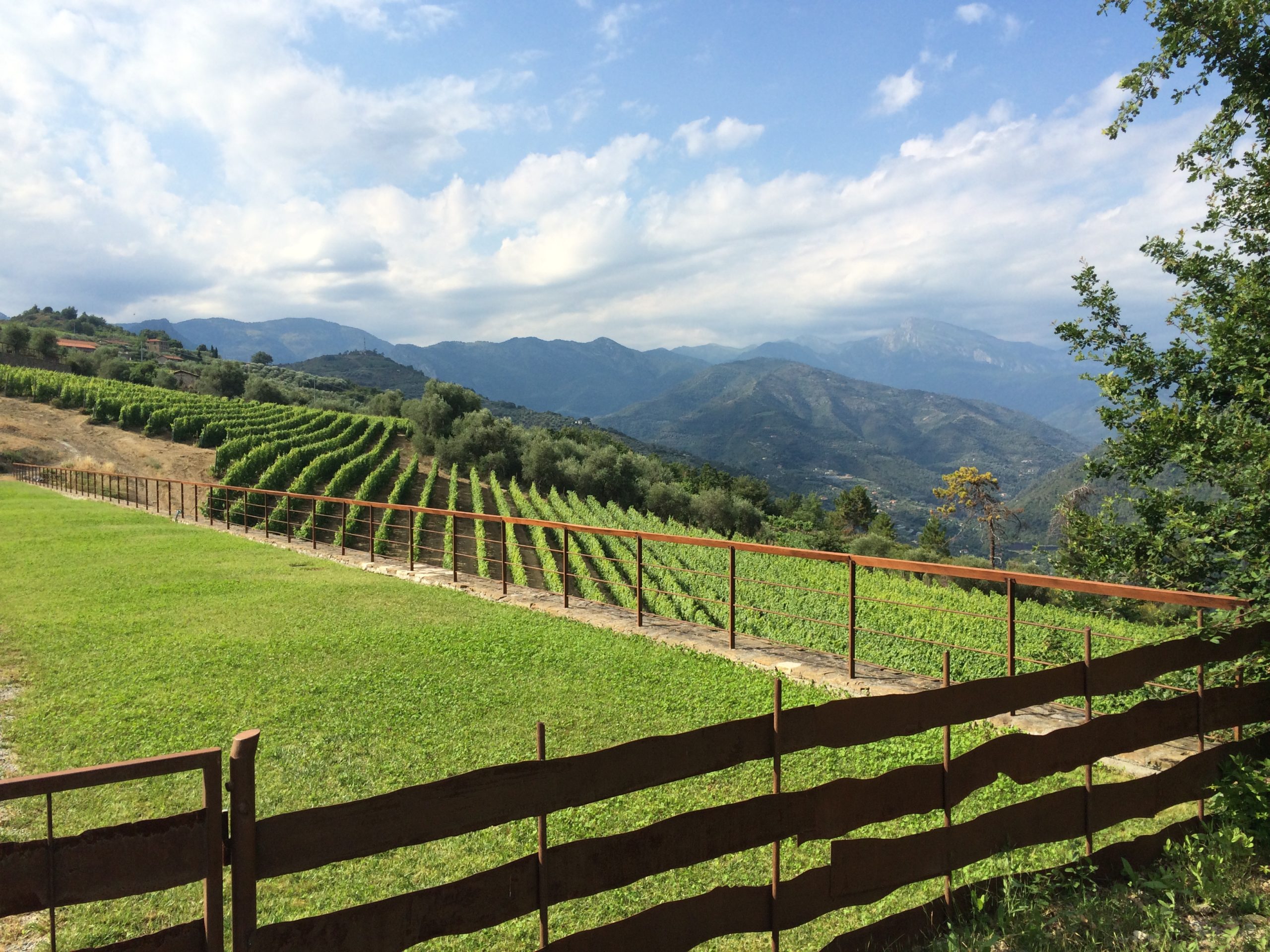 DOLCEACQUA & WINE TASTING – La patria del vino Rossese e dell’amato ponte di Monet. · 8